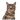 Gato de ojos verdes fotografiado de frente