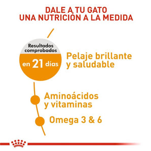 Concentrado Royal Canin Hair & Skin Gato