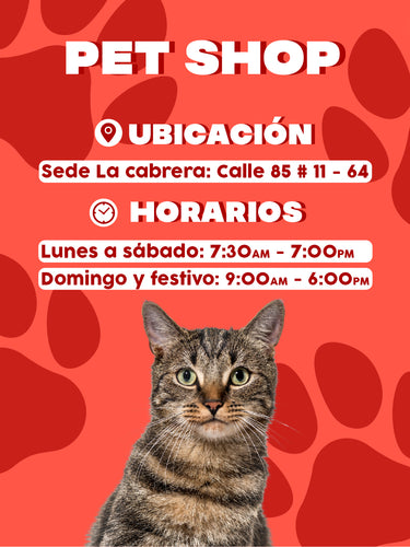 Gato café y ojos verde fotografiado de frente