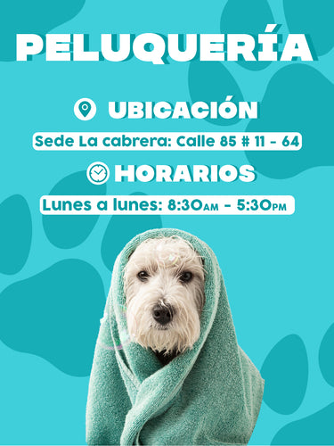 Perro mojado cubierto con una toalla verde
