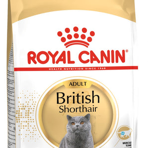 Royal Canin British Shorthair Kitten - Concentrado para Gatos de Raza British Shorthair