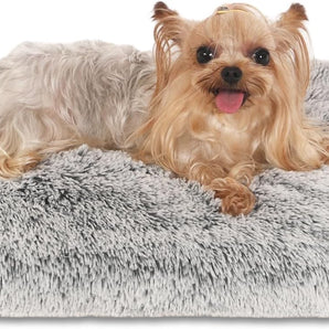 TROMPAS - Cama para Perro Pequeña