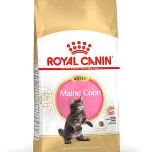 Royal Canin Kitten Maine Coon