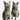 TOTEM – Collar en Cuero Vegano para Gato