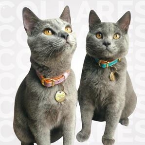 TOTEM – Collar en Cuero Vegano para Gato