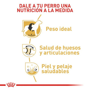 Royal Canin Adult Labrador Retriever