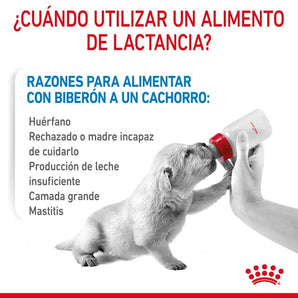 Royal Canin Baby Dog Milk