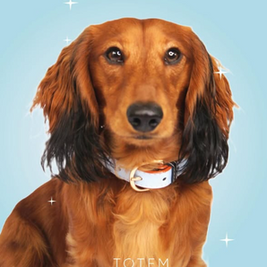 Totem – Collar Cuero Vegano Perro