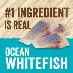 EVOLVE CAT GRAIN FREE OCEAN FISH 1.24KG